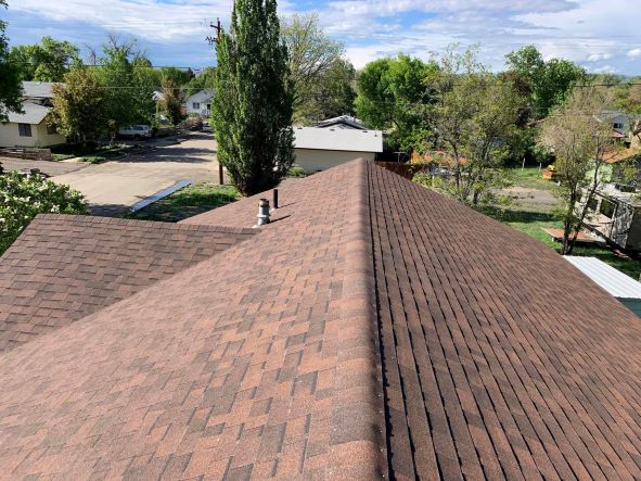 Shingles Ridge 1
